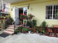 Zolotoy Lev Lazarevskoe Mini-Hotel 2*