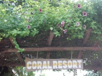 Coral Resort 2*