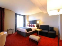 Mercure Paris Plaza Pont Mirabeau
