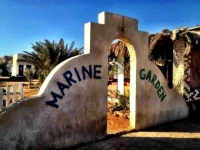 Marine Garden Camp Dahab