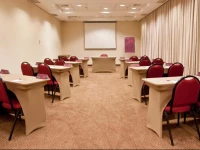 Mercure Apartments Sao Paulo Central Towers 3*