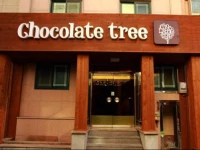 Chocolate Tree Sinchon