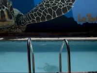 La Tortuga Hostel 2*