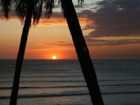 Barcelo Montelimar Beach Resort and Casino 5*