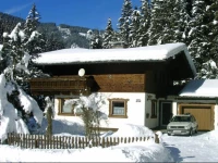 Ferienhaus Leitner 1*