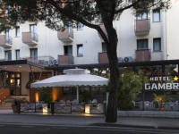 Hotel Gambrinus 3*