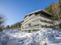 Residence Androsace 1*