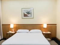 Nikkey Palace Hotel 3*