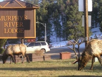 Murphys River Lodge 3*