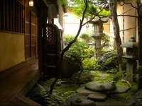 Guest House Kingyoya 1*