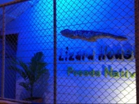 Posada Nativa Lizard House 1*