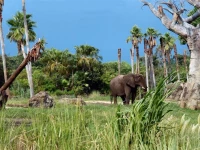 Florida Beautiful Homes 4*