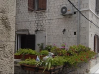 Carrara Accommodation 4*