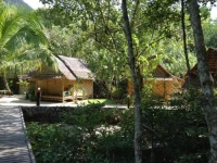 Bananas Bungalows 2*