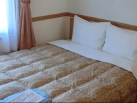 Toyoko Inn Tokyo Shinagawa-eki Konan-guchi Tennozu 2*