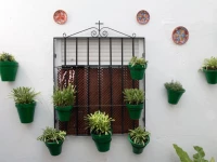 Hospederia Luis de Gongora 2*