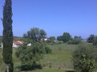 Alexander Apartments Thinali