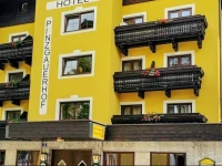 Hotel Pinzgauerhof 3*