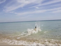 Riva Degli Angeli 3*