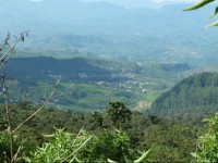 Single Tree Hotel 2*