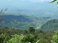 Single Tree Hotel 2*