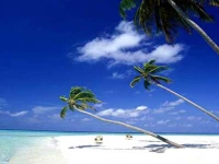 Osho Luxury Apartments 4*