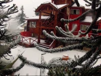 Solar de las Araucarias 2*