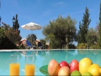 Agios Nikitas Villas 2*