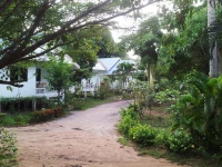 Lemon Tree Resort 2*