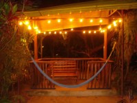 Whistling Bird Negril