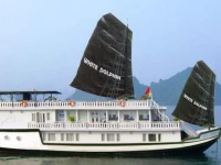 White Dolphin Cruises Halong 4*