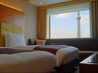 Lotte city hotel Kinshicho 4*