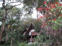 Karama Lodge 4*