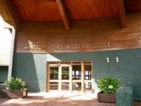 Ngorongoro Wildlife Lodge 4*