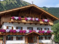 Ferienhof Weissenbach 1*