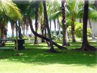 Villas Tacul Boutique Hotel Marina 4*