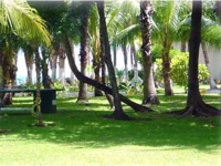 Villas Tacul Boutique Hotel Marina 4*