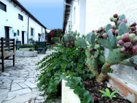 Agriturismo Capo Corso