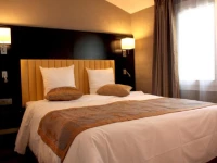 Best Western Sevres Montparnasse 3*