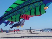 Les Chants dAiles 2*