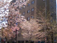 Sapporo Oriental Hotel 2*