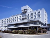 Palace Hotel Hakone 4*