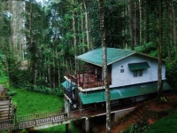 Greenspaces Munnar 3*