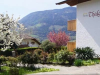 Hotel & Residence Thalguter 3*