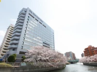 Day Nice Hotel Tokyo 3*