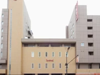 Asahikawa Toyo Hotel 4*