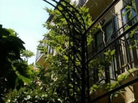 Suayai Guesthouse 1*