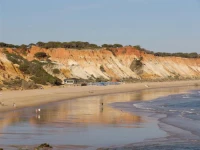 Apartamentos Monte da Vinha I