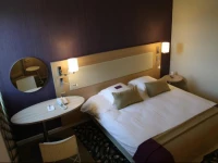Mercure Mulhouse Centre 4*