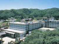 Hotel New Mitoya 3*
